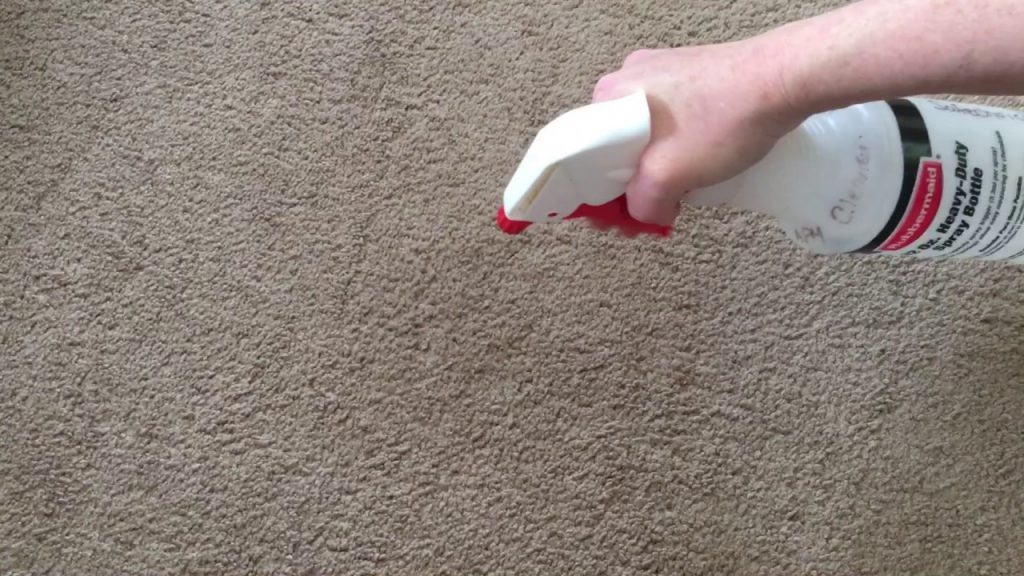 Complete Guide For Carpet Slime Stain Removal