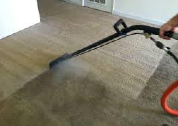 Same Day Carpet Steam Cleaning